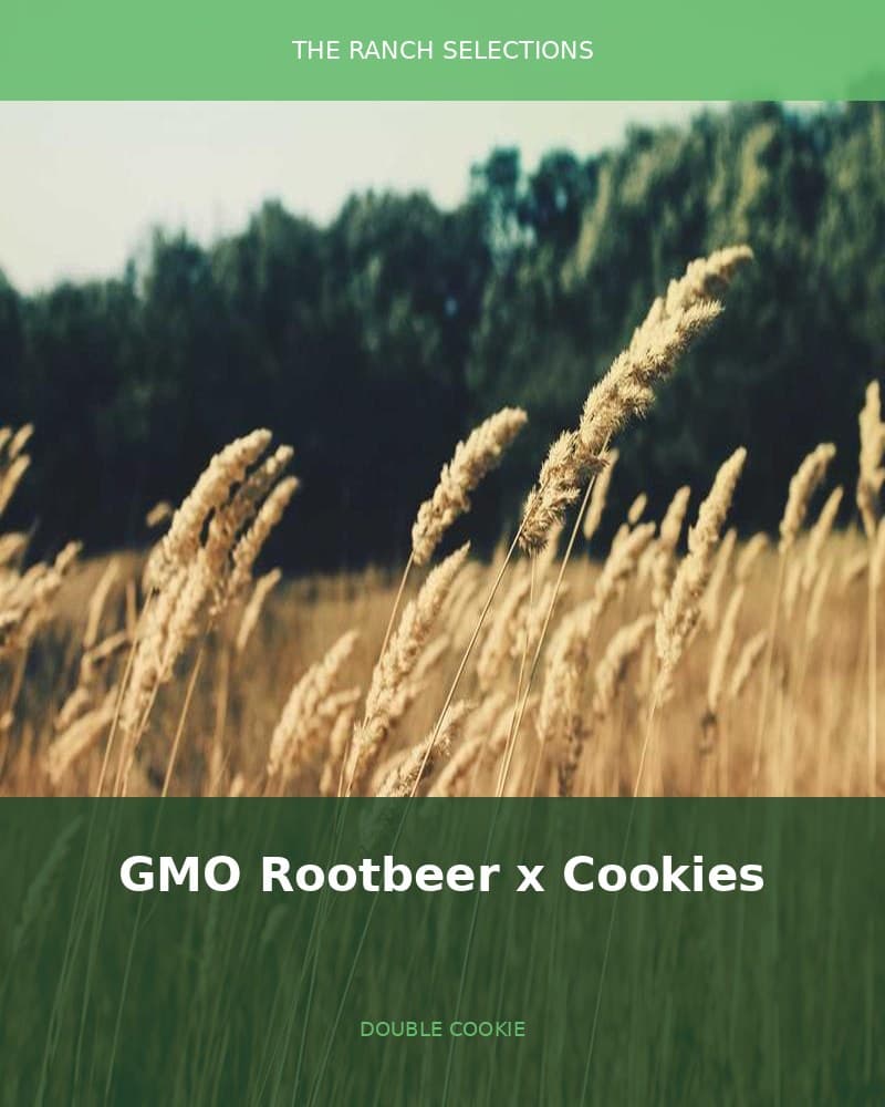GMO Rootbeer x Double Cookies — seed pack