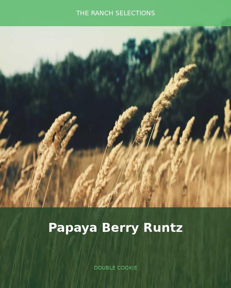 Papaya Berry Runtz x Double Cookies — seed pack