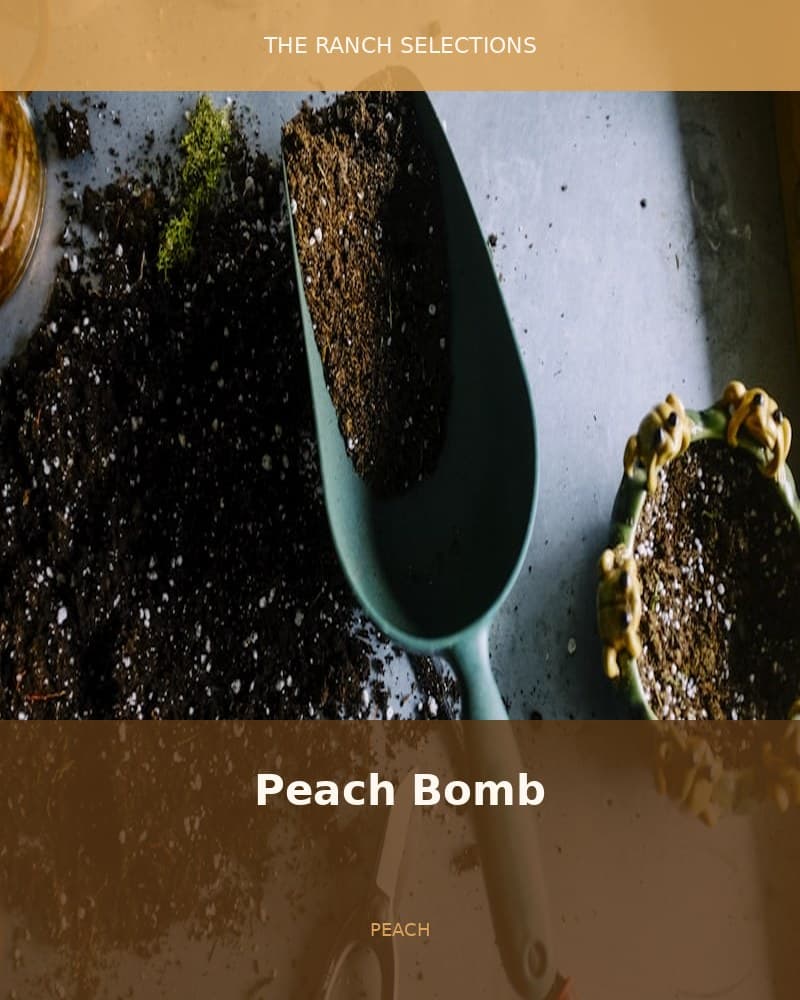 Peach Bomb — seed pack