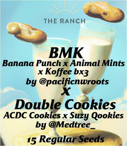 Bananimal Mints Kubed x Double Cookies — seed pack