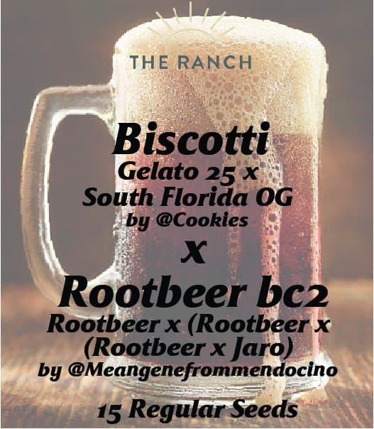 Biscotti x Rootbeer BC2 — seed pack