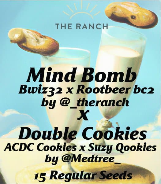 Blissful Wizard x Rootbeer x Double Cookies — seed pack
