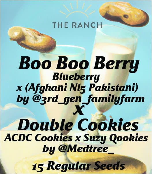 Boo Boo Berry x Double Cookies — seed pack
