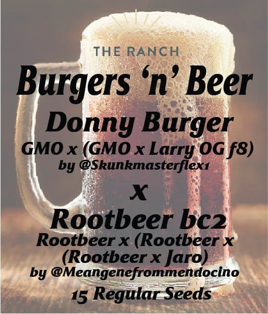 Burgers N Beer — seed pack