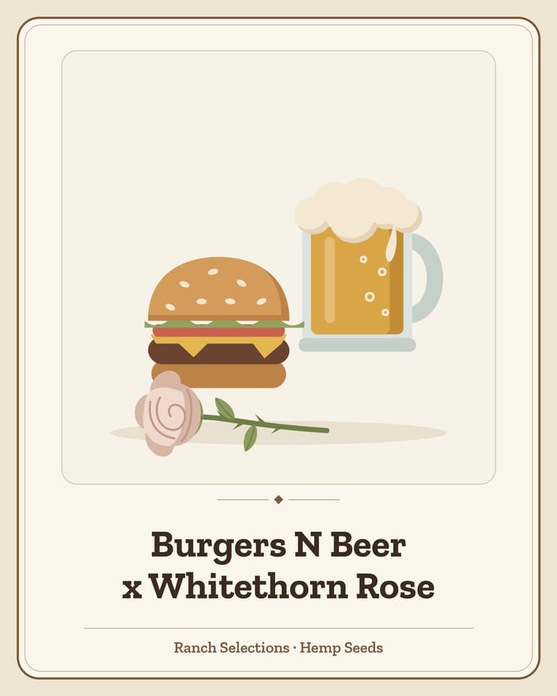 Burgers N Beer x Whitethorn Rose — seed pack