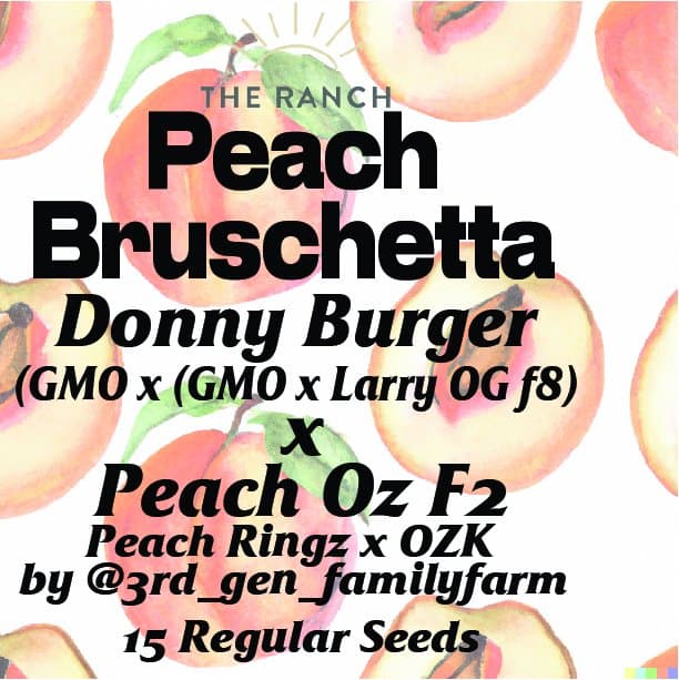 Donny Burger x Peach Oz — seed pack