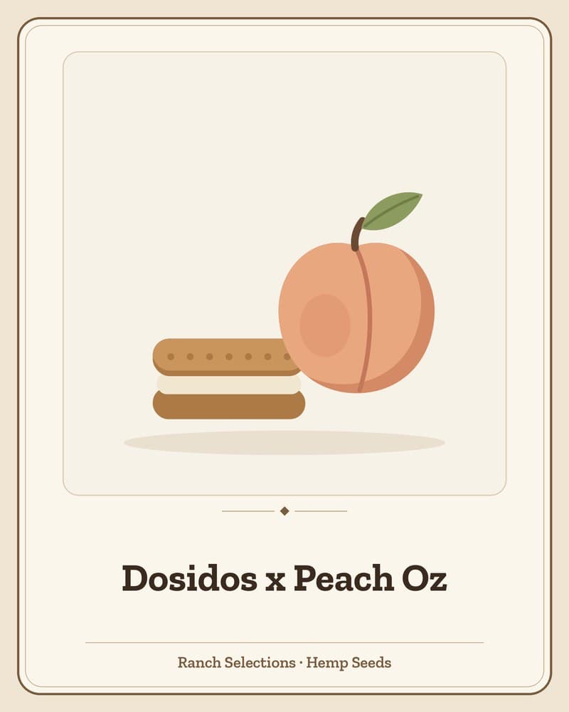 Dosidos x Peach Oz — seed pack