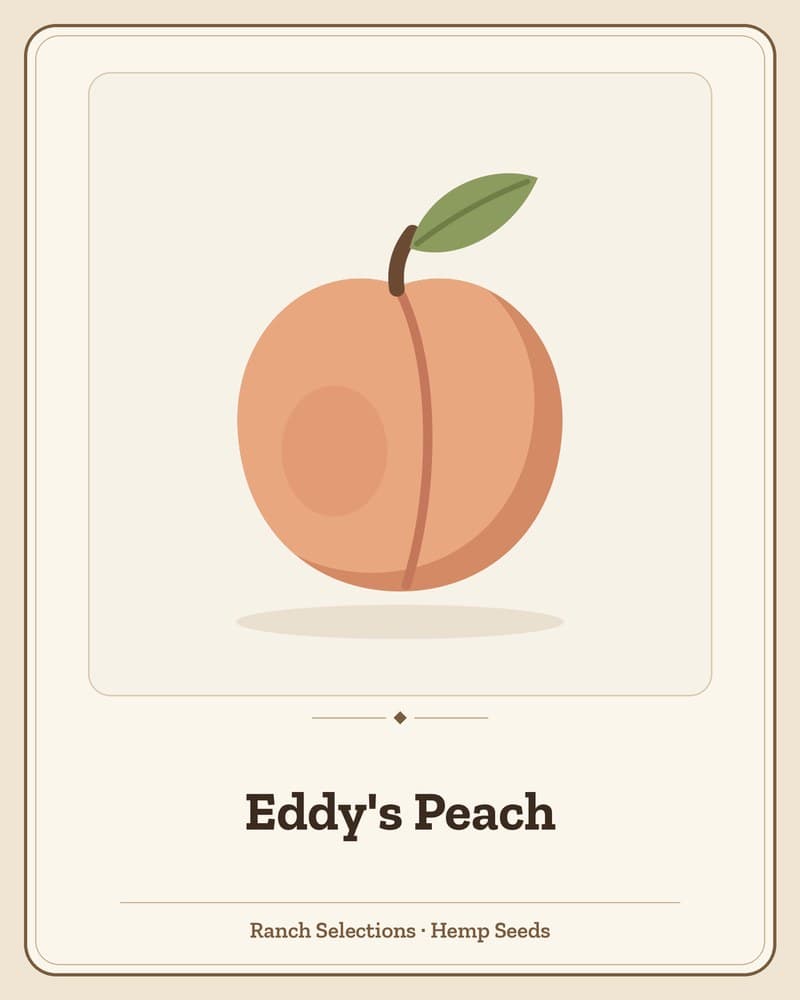 Eddy's Peach — seed pack