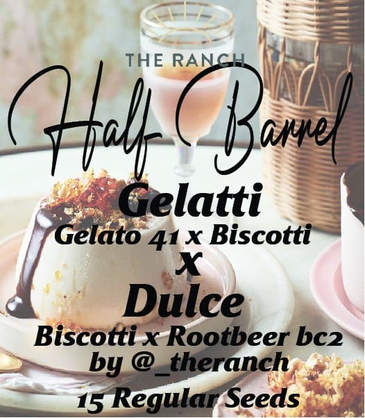 Gelatti x Biscotti Rootbeer — seed pack