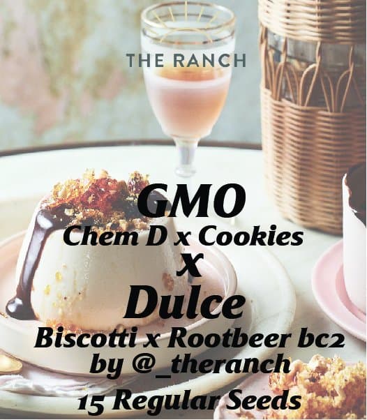 GMO x Biscotti Rootbeer — seed pack