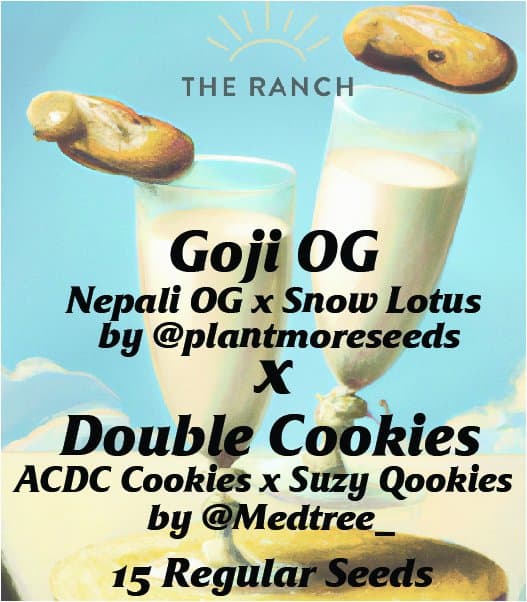 Goji OG x Double Cookies — seed pack