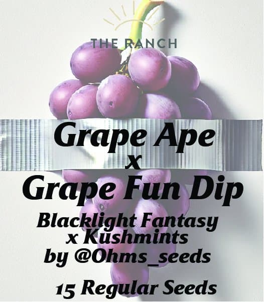 Grape Ape x Grape Fun Dip — seed pack