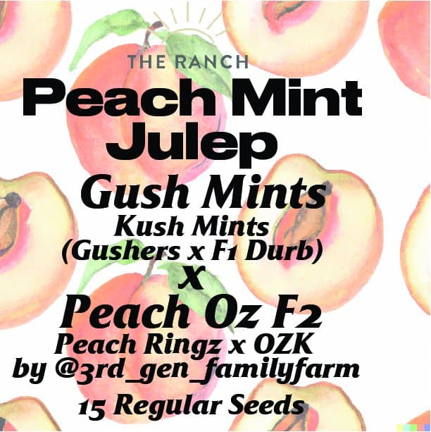 Gush Mints x Peach Oz — seed pack