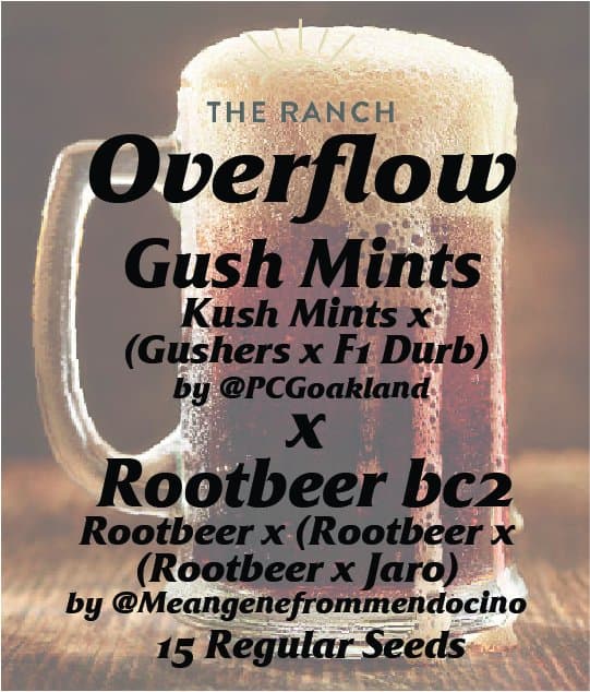 Gush Mints x Rootbeer BC2 — seed pack