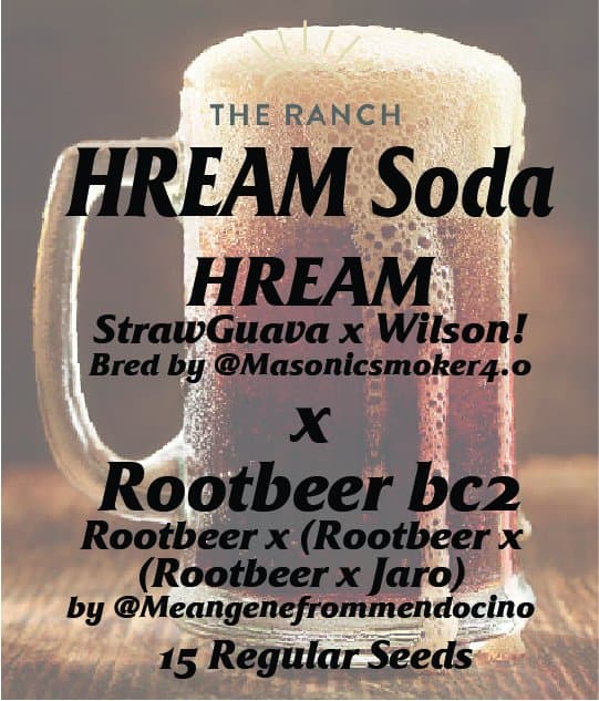 HREAM x Rootbeer BC2 — seed pack