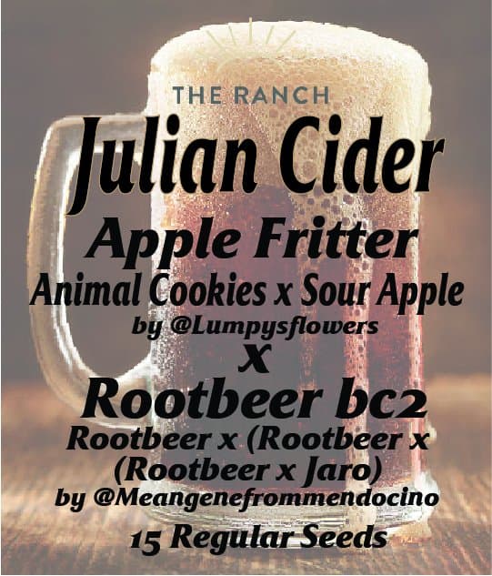Julian Cider (Apple Fritter x Rootbeer BC2) — seed pack