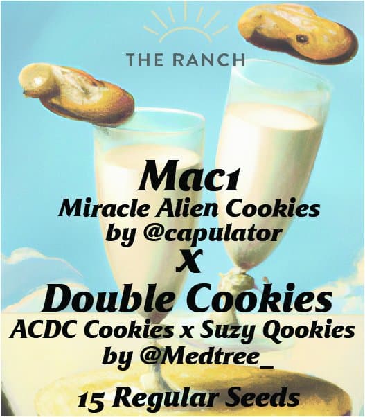 Mac 1 x Double Cookies — seed pack