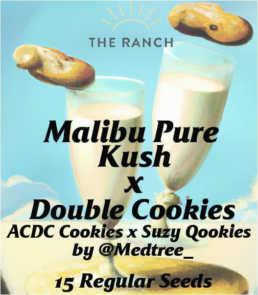 Malibu Pure Kush x Double Cookies — seed pack