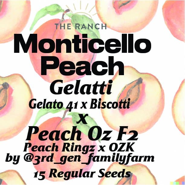 Monticello Peach (Gelatti x Peach Oz) — seed pack