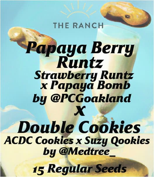 Papaya Berry Runtz x Double Cookies — seed pack