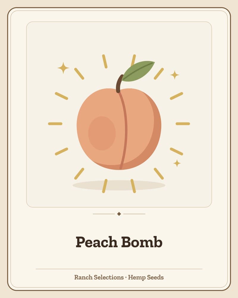 Peach Bomb — seed pack