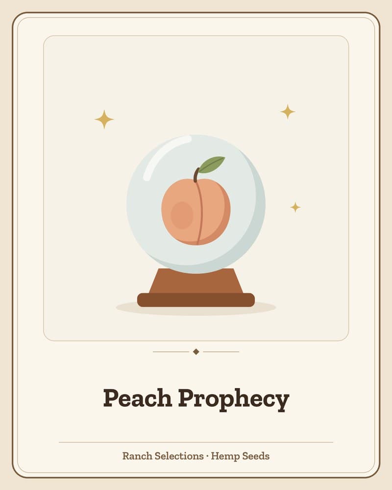 Peach Prophecy — seed pack