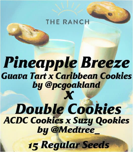 Pineapple Breeze x Double Cookies — seed pack