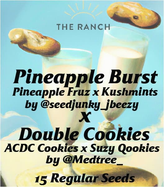 Pineapple Burst x Double Cookies — seed pack
