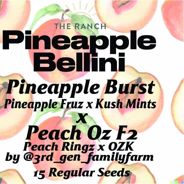 Pineapple Burst x Peach Oz — seed pack