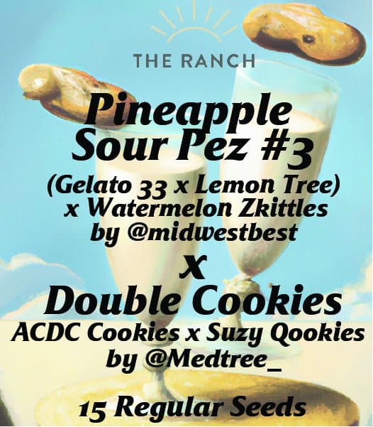 Pineapple Sour Pez x Double Cookies — seed pack