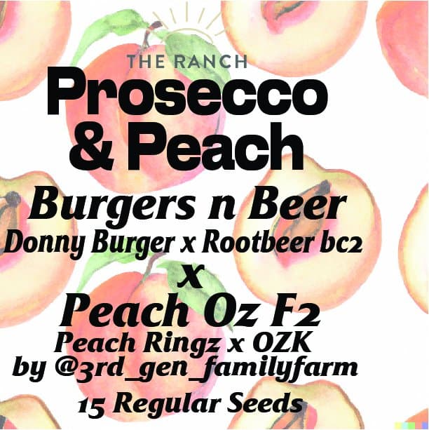 Prosecco Peach (Burgers N Beer x Peach Oz F2) — seed pack