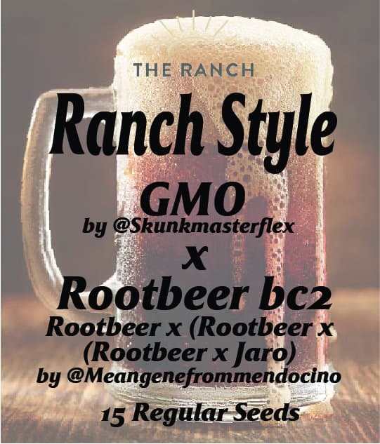 Ranch Style GMO x Rootbeer BC2 — seed pack
