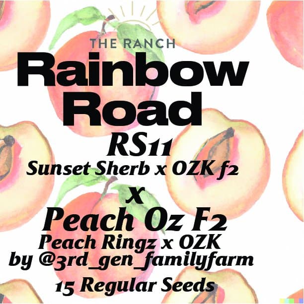 RS11 x Peach Oz — seed pack