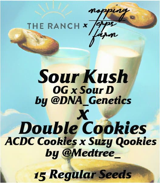 Sour Kush x Double Cookies — seed pack