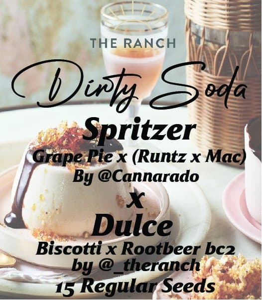 Spritzer x Biscotti Rootbeer — seed pack