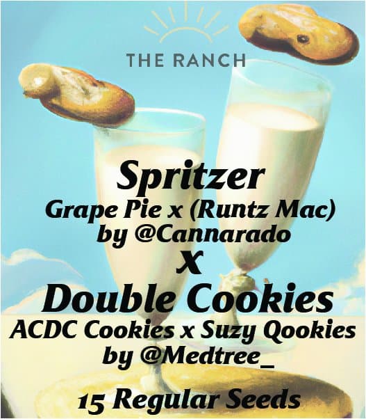 Spritzer x Double Cookies — seed pack