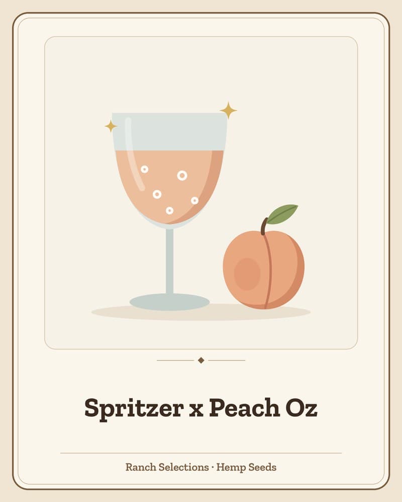 Spritzer x Peach Oz — seed pack