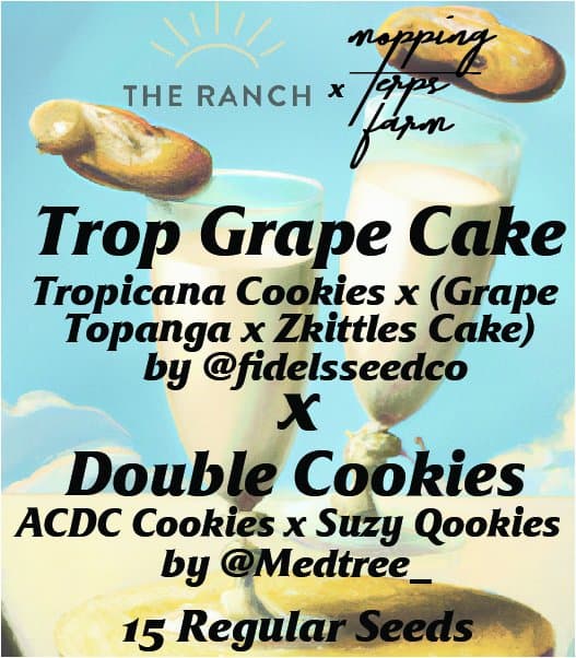 Trop Grape Cake x Double Cookies — seed pack