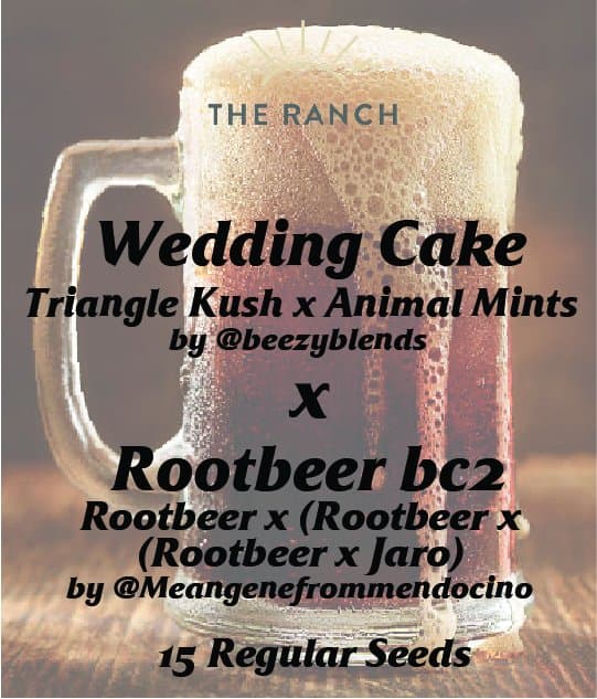 Wedding Cake x Rootbeer BC2 — seed pack