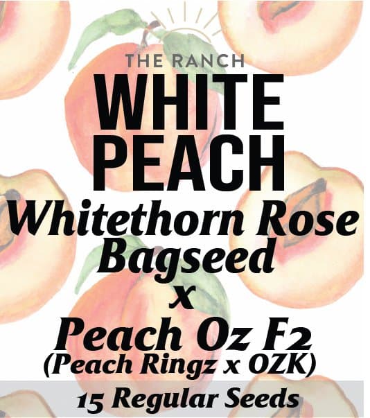 White Peach — seed pack