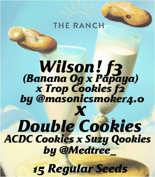 Wilson x Double Cookies — seed pack